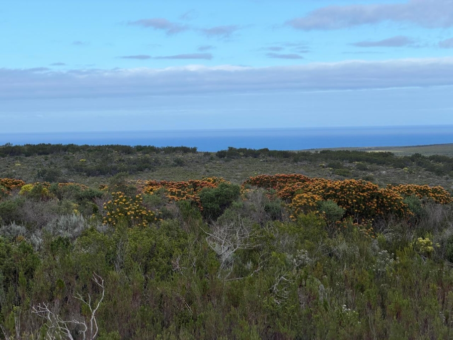 0 Bedroom Property for Sale in Riversdale Rural Western Cape
